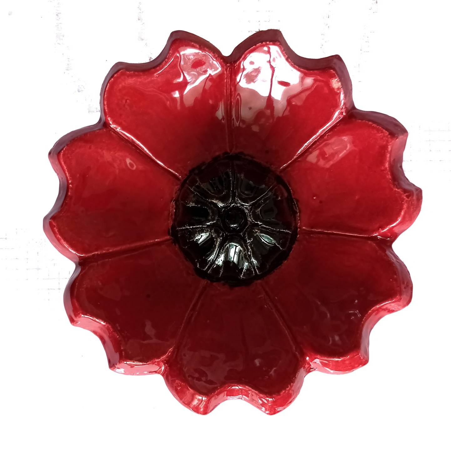 Fleur COQUELICOT